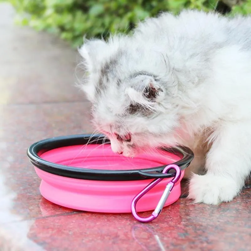 2 in 1 Folding Pet Water Dispensers Bottle