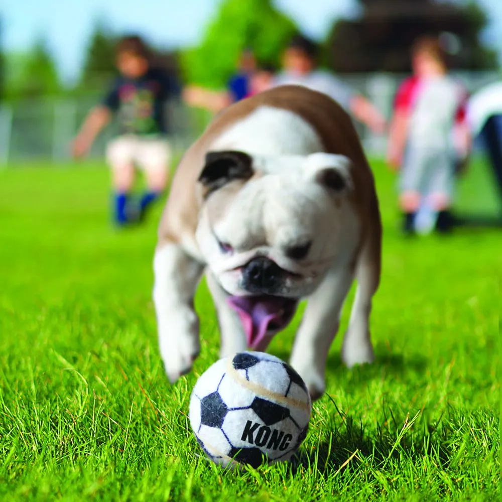 20% OFF: Kong® Sport Balls Dog Toy