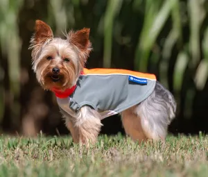 bArctic Light Therapy & Cooling Dog Shirt - No Water Required! (powered by Coolvio® patented technology)