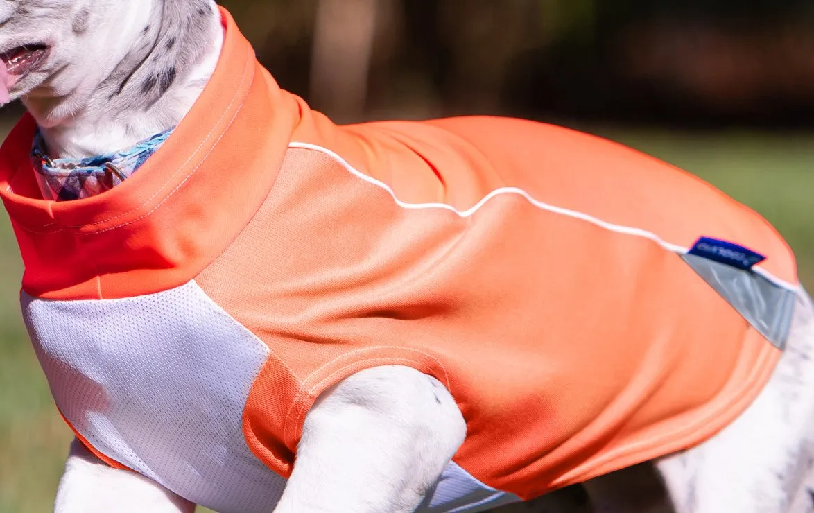 bArctic Light Therapy & Cooling Dog Shirt - No Water Required! (powered by Coolvio® patented technology)
