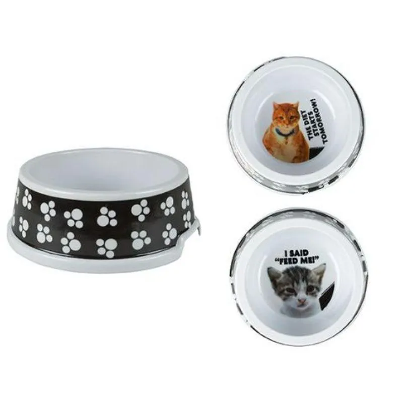 Comical Cat Bowl - 12.5cm x 5.8cm