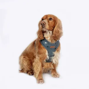 FatFace Marching Dogs Harness