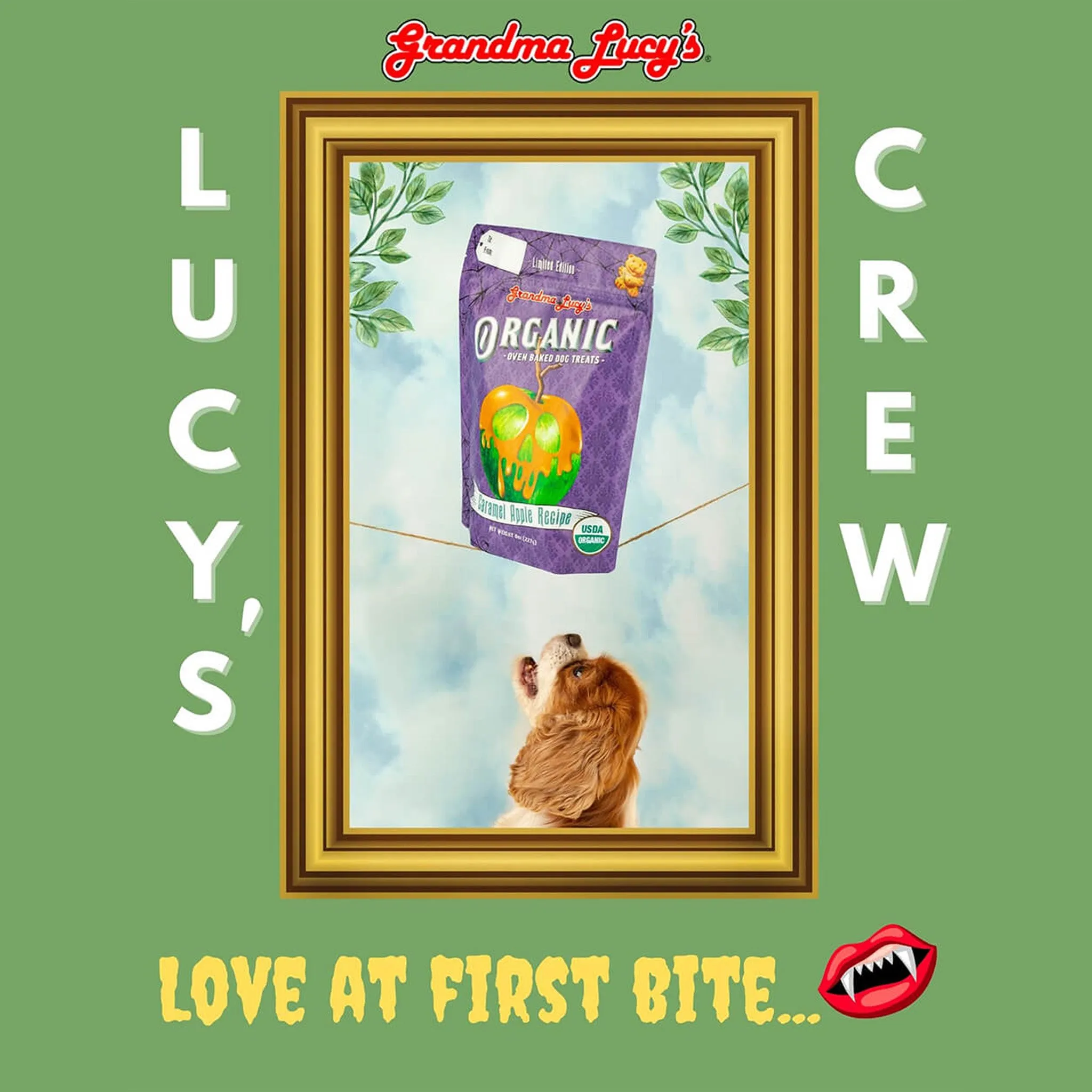 Grandma Lucy's Organic Oven Baked Dog Treats