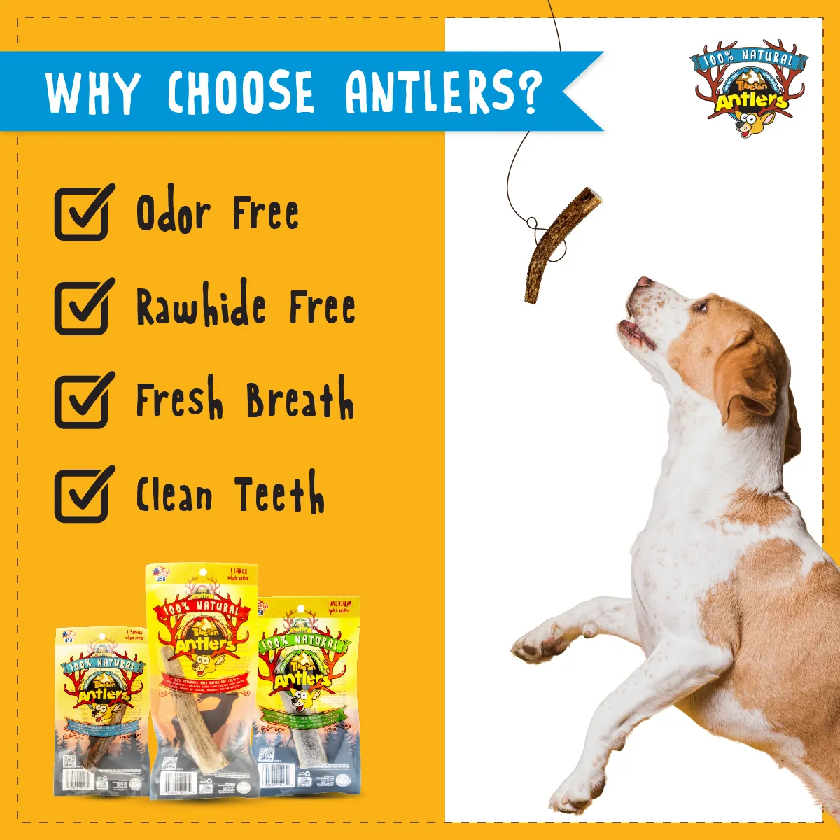Jumbo-Sized Natural Elk Antlers for Dogs