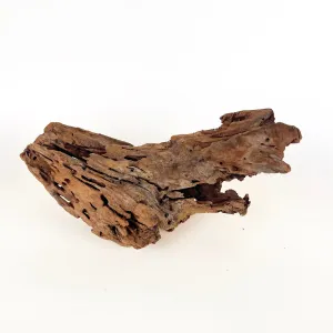 Natural Mangrove Driftwood