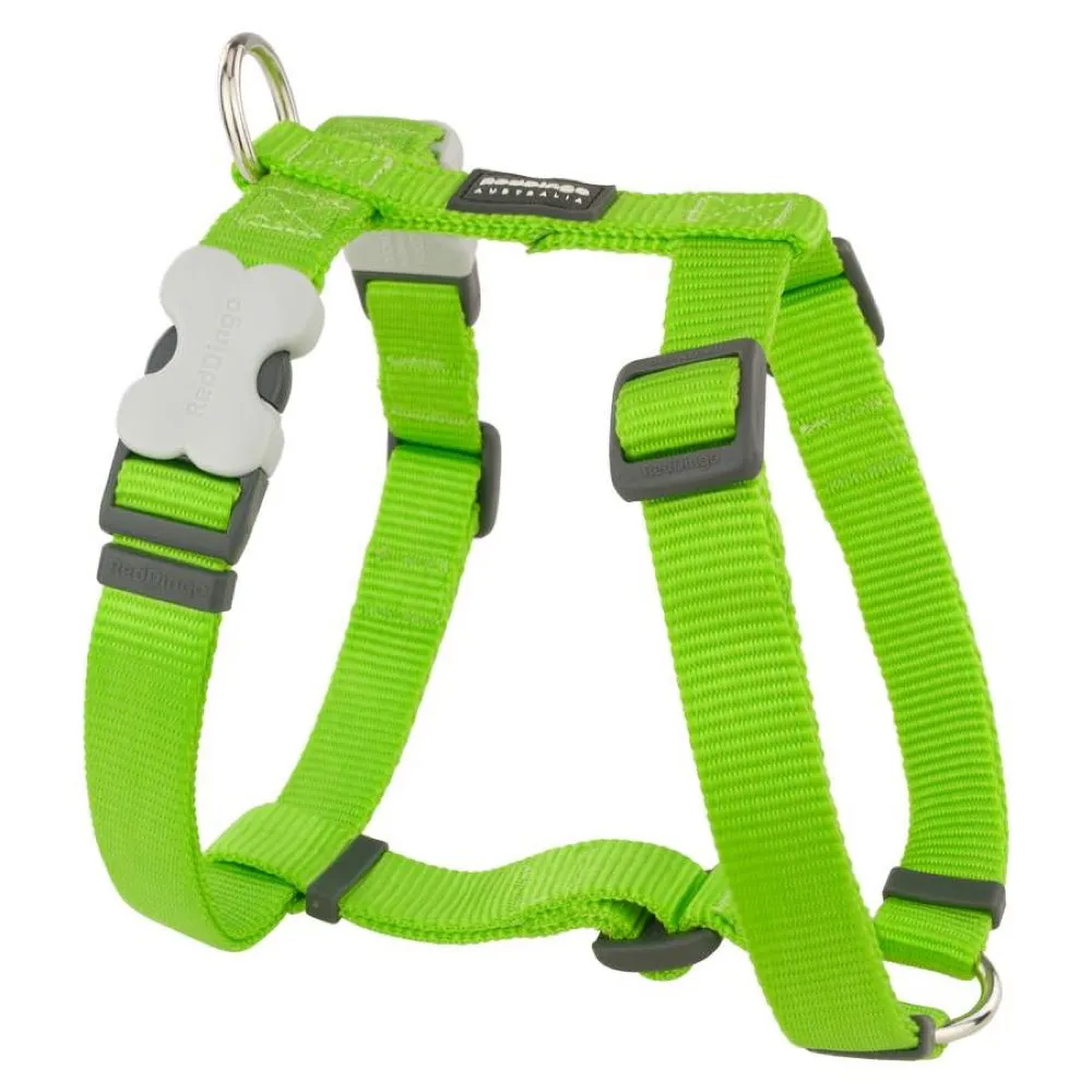 Red Dingo Classic Dog Harness 25mm