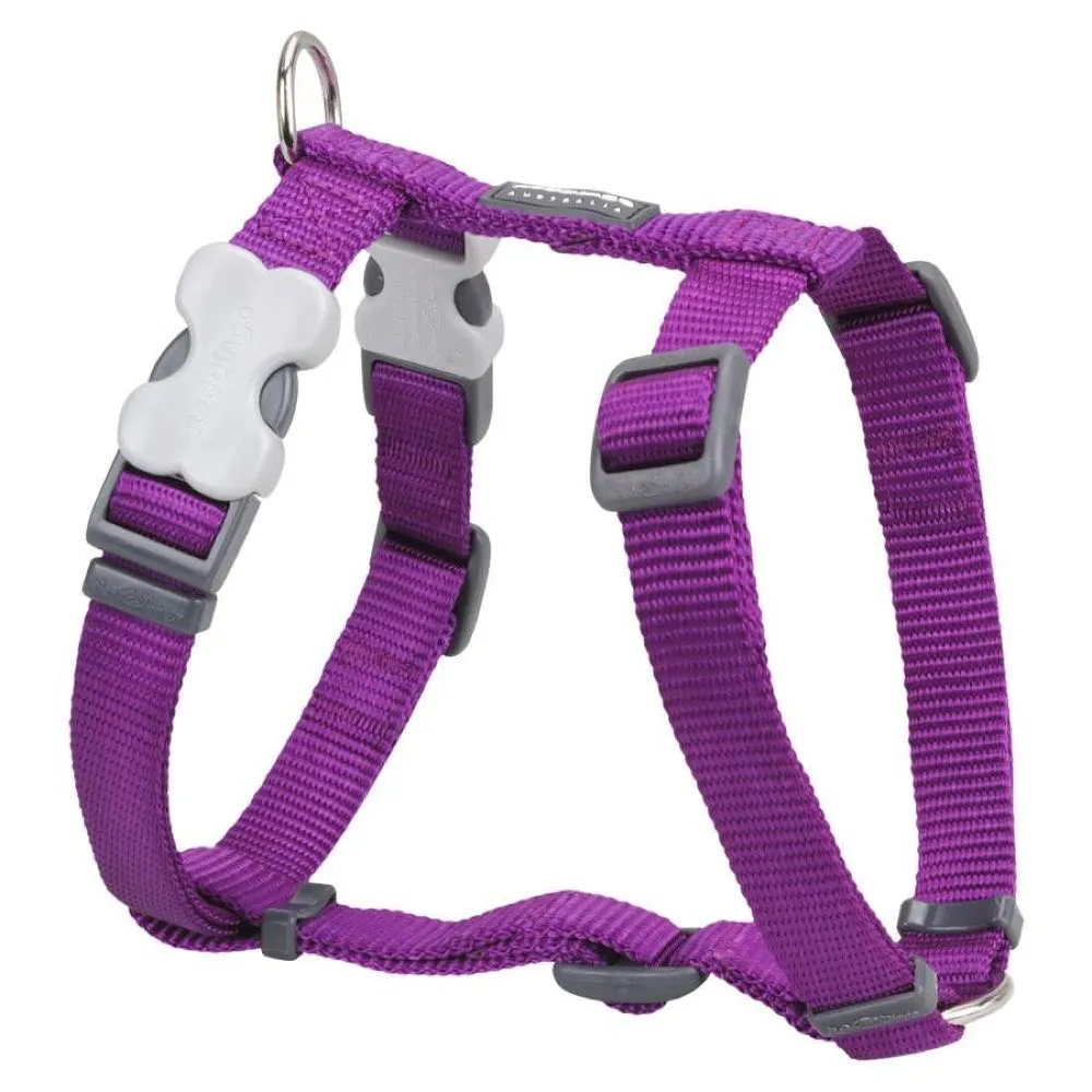 Red Dingo Classic Dog Harness 25mm