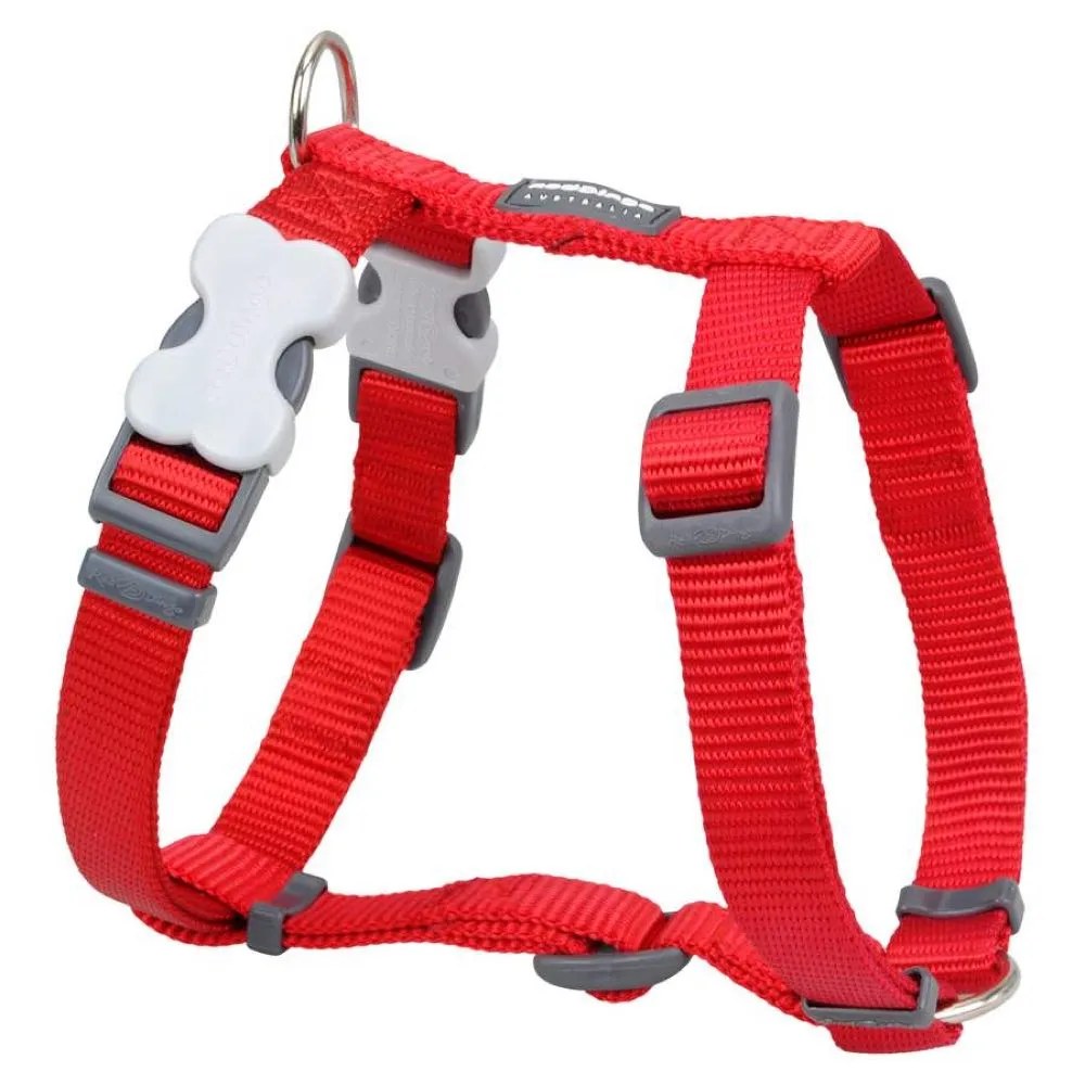 Red Dingo Classic Dog Harness 25mm